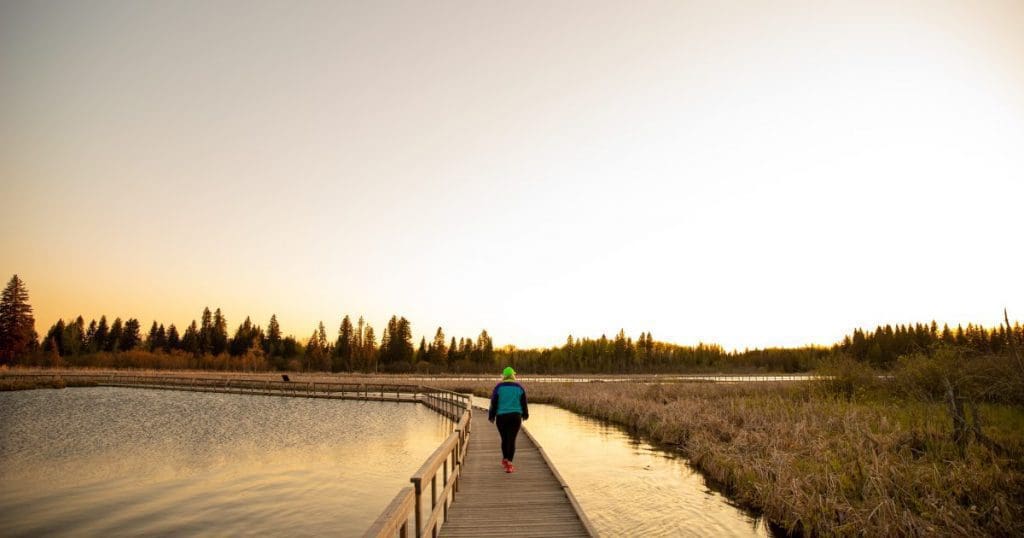 Person walking on the marsh boardwalk at sunset.