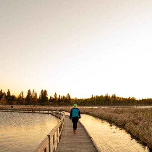 Person walking on the marsh boardwalk at sunset.