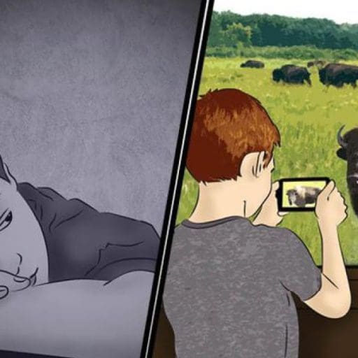 Two illustrations, one of a child at rest and the other of a child taking photos of a bison.